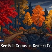Fostoria News Seasonal guide image showing vibrant fall foliage by the river with a small bridge.